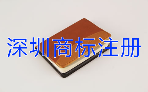 專業(yè)代理深圳商標(biāo)注冊設(shè)計(jì)