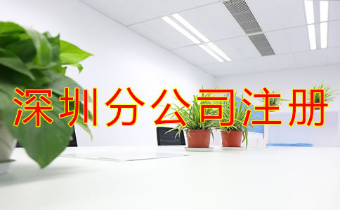 深圳分公司注冊(cè)資金要求有哪些?